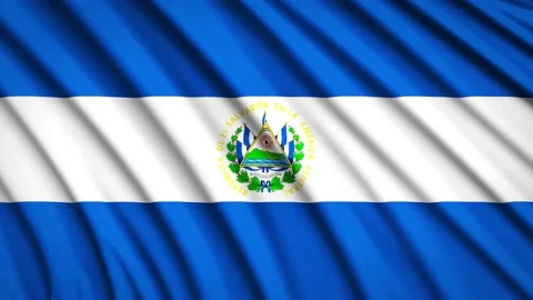 Loop Flag Salvador Stock Footage 155544643