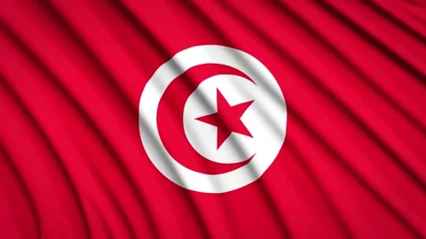 Loop Flag Tunisia Stock Footage 155546642