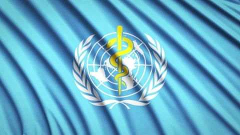 Loop Flag World Health Organization Stock Footage 155547610
