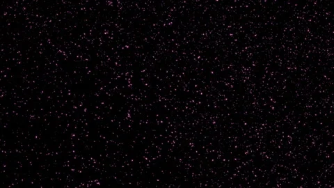Loop flickering star particles falling down on black abstract background Stock Footage 308536294