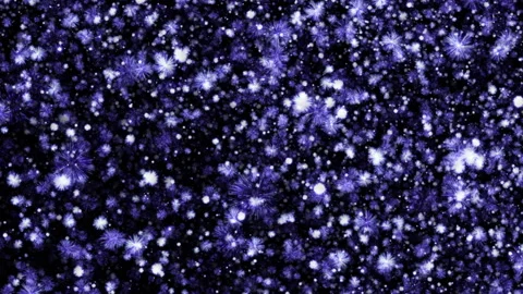 Loop floating blue spark firework particles on black abstract background Stock Footage 311807430