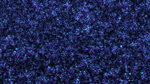 Loop floating colorful pink blue particles on black abstract background Stock Footage 308797892