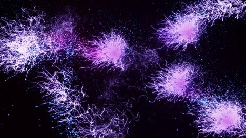 Loop Flowing Particle Trails Glow Shiny Element Swirl And Floating 4k Motion. Stock Footage 113097965