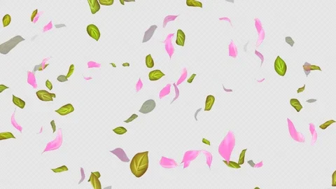 Loop Flying petals and leaves on Transparent Background. Alpha Channel. Matte Stock Footage 277638535