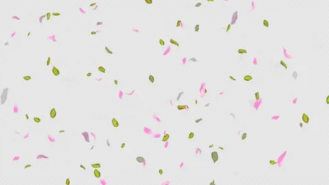 Loop Flying petals and leaves on Transparent Background. Alpha Channel. Matte Stock Footage 277639313
