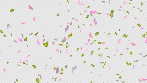 Loop Flying petals and leaves on Transparent Background. Alpha Channel. Matte 스톡 동영상 277646332