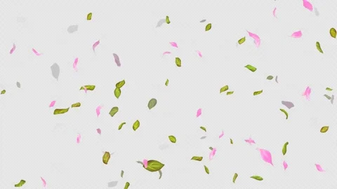Loop Flying petals and leaves on Transparent Background. Alpha Channel. Matte Stock Footage 277647534