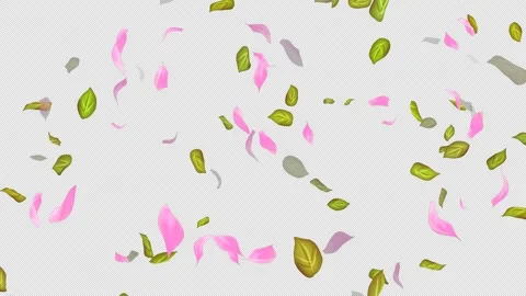 Loop Flying petals and leaves on Transparent Background. Alpha Channel. Matte Stock Footage 277648614