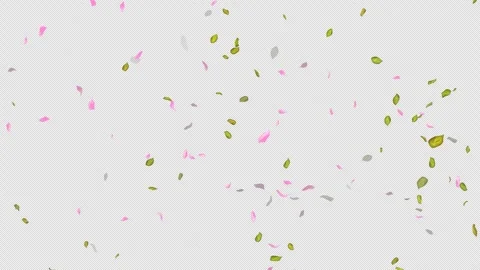 Loop Flying petals and leaves on Transparent Background. Alpha Channel. Matte Stock Footage 277648959