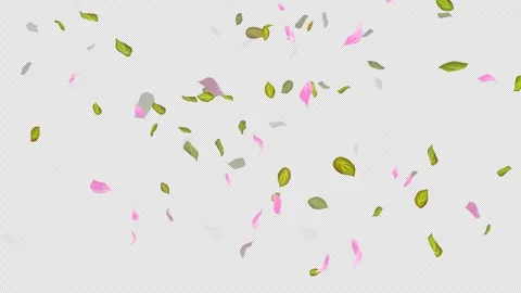 Loop Flying petals and leaves on Transparent Background. Alpha Channel. Matte Stock Footage 277658425