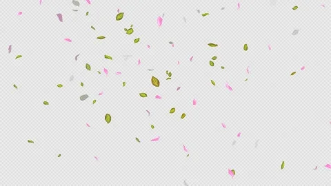 Loop Flying petals and leaves on Transparent Background. Alpha Channel. Matte Stock Footage 277659391