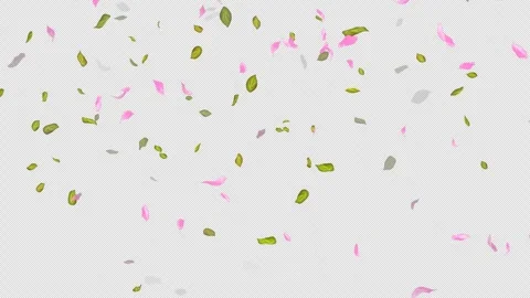 Loop Flying petals and leaves on Transparent Background. Alpha Channel. Matte Stock Footage 277659781