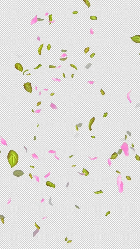 Loop Flying petals and leaves on Transparent Background. Alpha Channel. Matte Stock Footage 277685715
