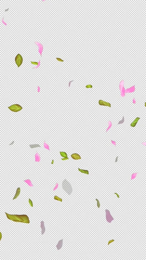 Loop Flying petals and leaves on Transparent Background. Alpha Channel. Matte Stock Footage 277685901