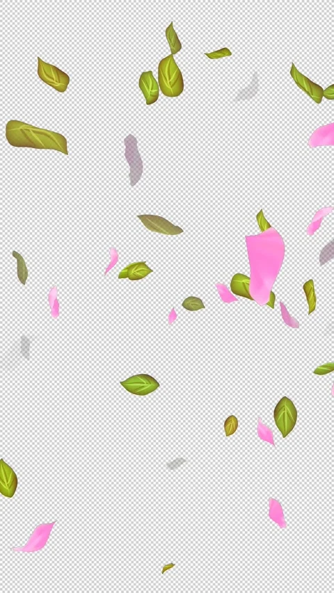 Loop Flying petals and leaves on Transparent Background. Alpha Channel. Matte Stock Footage 277686093