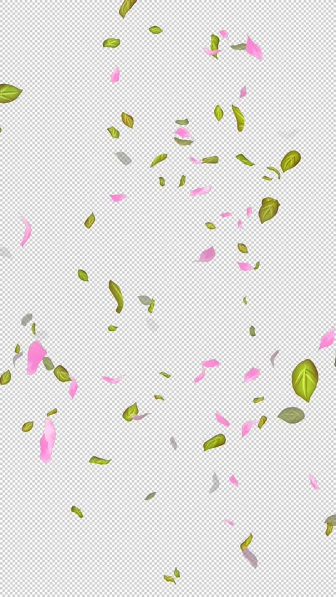 Loop Flying petals and leaves on Transparent Background. Alpha Channel. Matte Stock Footage 277686845