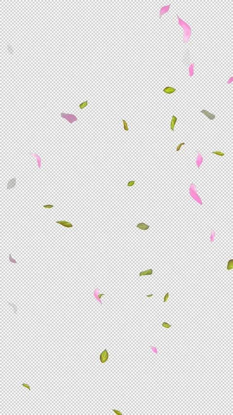 Loop Flying petals and leaves on Transparent Background. Alpha Channel. Matte Stock Footage 277686920