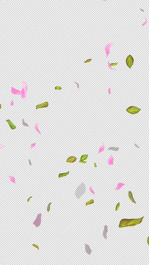 Loop Flying petals and leaves on Transparent Background. Alpha Channel. Matte Stock Footage 277686958