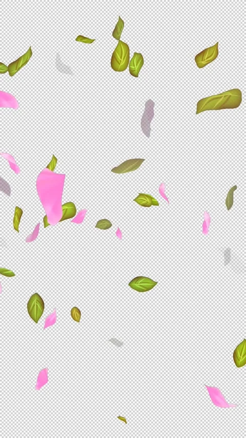 Loop Flying petals and leaves on Transparent Background. Alpha Channel. Matte Stock Footage 277687062