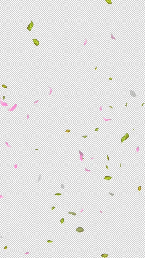 Loop Flying petals and leaves on Transparent Background. Alpha Channel. Matte Stock Footage 277687109