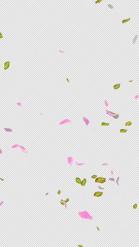 Loop Flying petals and leaves on Transparent Background. Alpha Channel. Matte Stock Footage 277687195