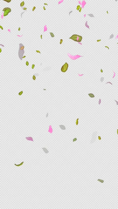 Loop Flying petals and leaves on Transparent Background. Alpha Channel. Matte Stock Footage 277764743