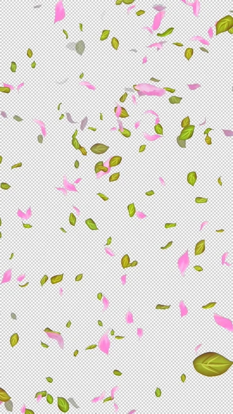 Loop Flying petals and leaves on Transparent Background. Alpha Channel. Matte Stock Footage 277765543
