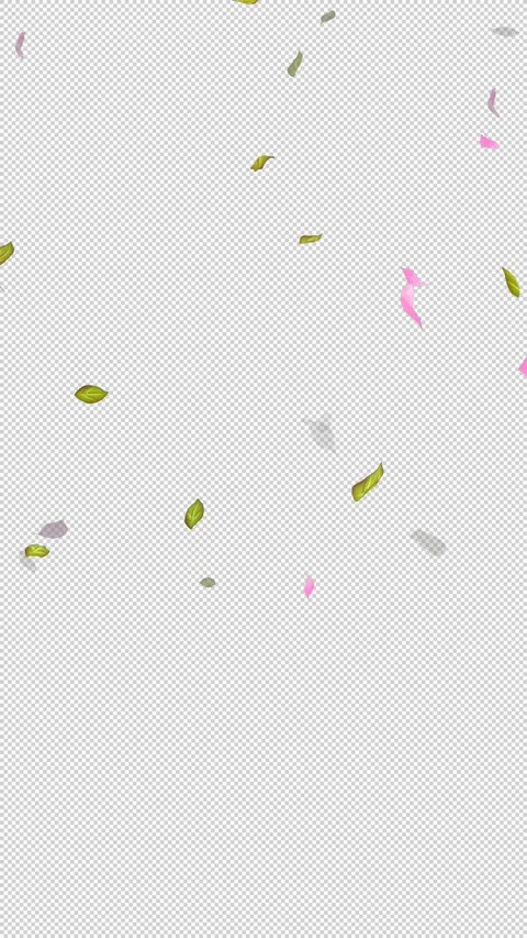 Loop Flying petals and leaves on Transparent Background. Alpha Channel. Matte Stock Footage 277765728
