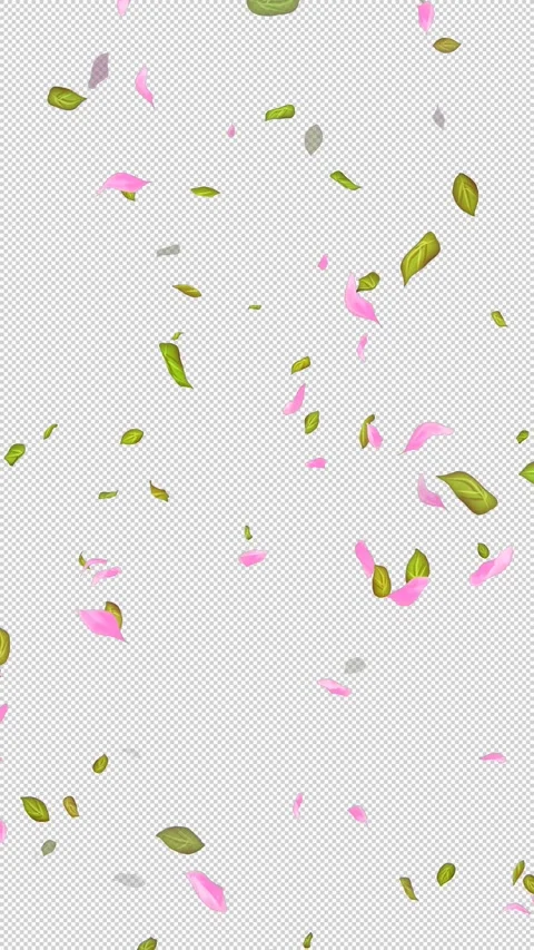 Loop Flying petals and leaves on Transparent Background. Alpha Channel. Matte Stock Footage 277766145