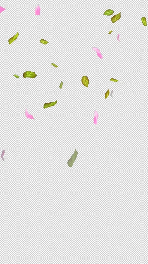 Loop Flying petals and leaves on Transparent Background. Alpha Channel. Matte Stock Footage 277766393
