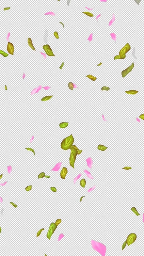 Loop Flying petals and leaves on Transparent Background. Alpha Channel. Matte Stock Footage 277767001