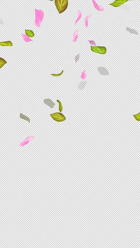 Loop Flying petals and leaves on Transparent Background. Alpha Channel. Matte Stock Footage 277767426