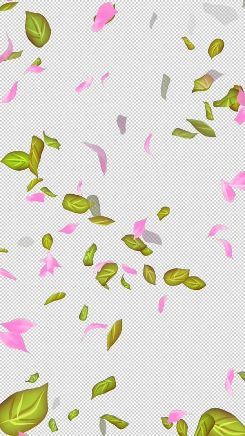 Loop Flying petals and leaves on Transparent Background. Alpha Channel. Matte Stock Footage 277768456