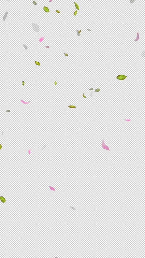 Loop Flying petals and leaves on Transparent Background. Alpha Channel. Matte Stock Footage 277769948