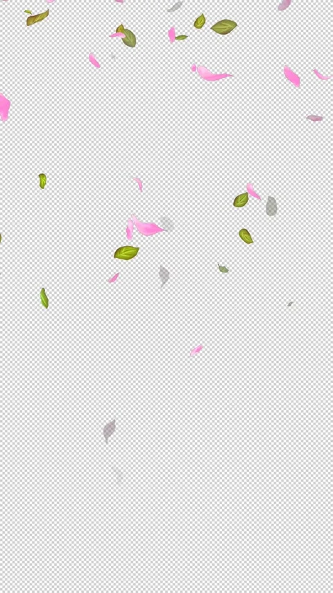 Loop Flying petals and leaves on Transparent Background. Alpha Channel. Matte Stock Footage 277770493