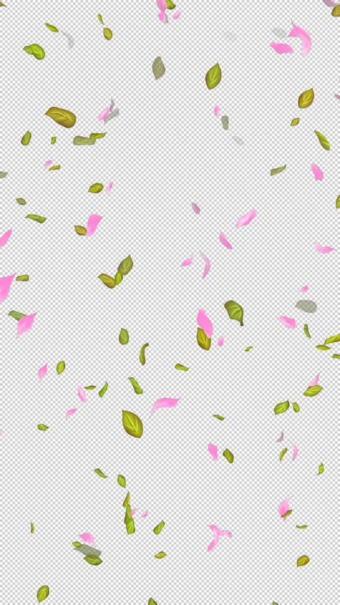 Loop Flying petals and leaves on Transparent Background. Alpha Channel. Matte Stock Footage 277770916