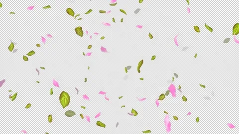 Loop Flying petals and leaves on Transparent Background. Alpha Channel. Matte Stock Footage 277772584
