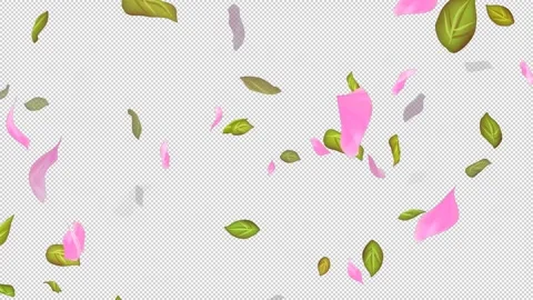 Loop Flying petals and leaves on Transparent Background. Alpha Channel. Matte Stock Footage 277772763