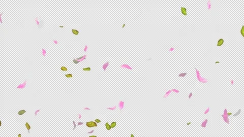 Loop Flying petals and leaves on Transparent Background. Alpha Channel. Matte Stock Footage 277772869