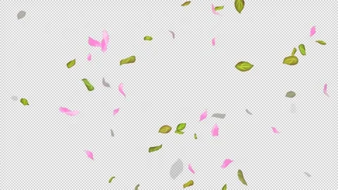 Loop Flying petals and leaves on Transparent Background. Alpha Channel. Matte Stock Footage 277773476