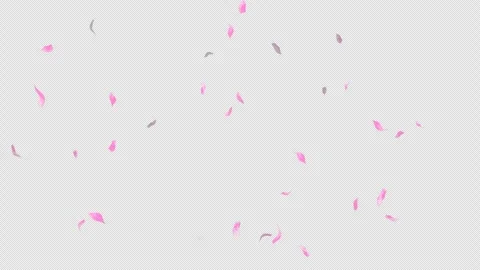 Loop Flying Sakura on Transparent Background. Blossom. Cherry. Alpha Channel Stock Footage 277655002