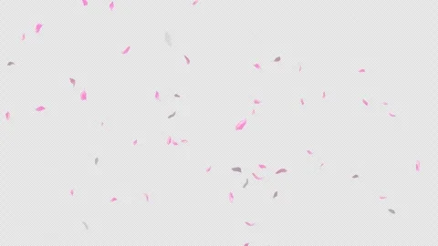 Loop Flying Sakura on Transparent Background. Blossom. Cherry. Alpha Channel Stock Footage 277656185