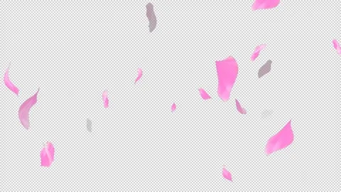 Loop Flying Sakura on Transparent Background. Blossom. Cherry. Alpha Channel Stock Footage 277772970