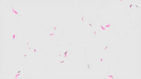 Loop Flying Sakura on Transparent Background. Blossom. Cherry. Alpha Channel Stock Footage 277772988