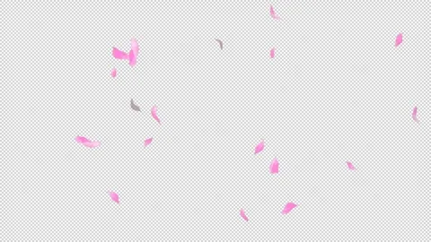 Loop Flying Sakura on Transparent Background. Blossom. Cherry. Alpha Channel Stock Footage 277773661