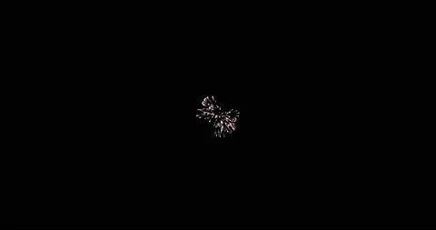 Loop footage fireworks with sparkling lights and stars, ignites an explosion on Stock Footage 164562176