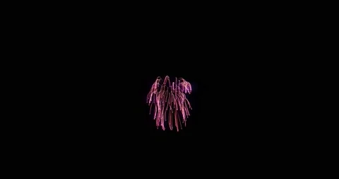 Loop footage fireworks with sparkling lights and stars, ignites an explosion on Stock Footage 164877177