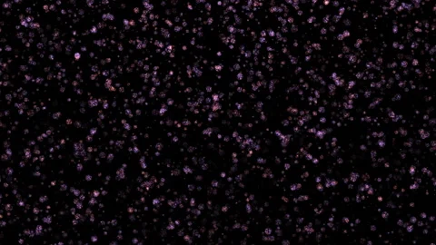 Loop glittering pink ball stars particles animation motion Stock Footage 304963384