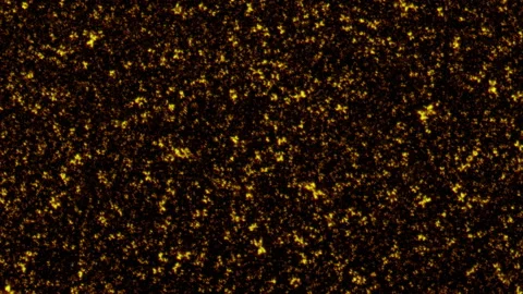 Loop glow gold dust particles flow up  on black background Video stock 315875849