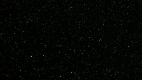 Loop glow green particles animation on black background Stock Footage 306372748